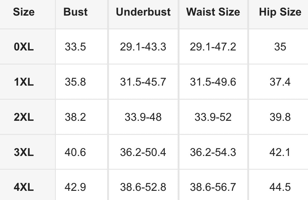 High Waisted Leopard 2PC Swimsuit-Curvy