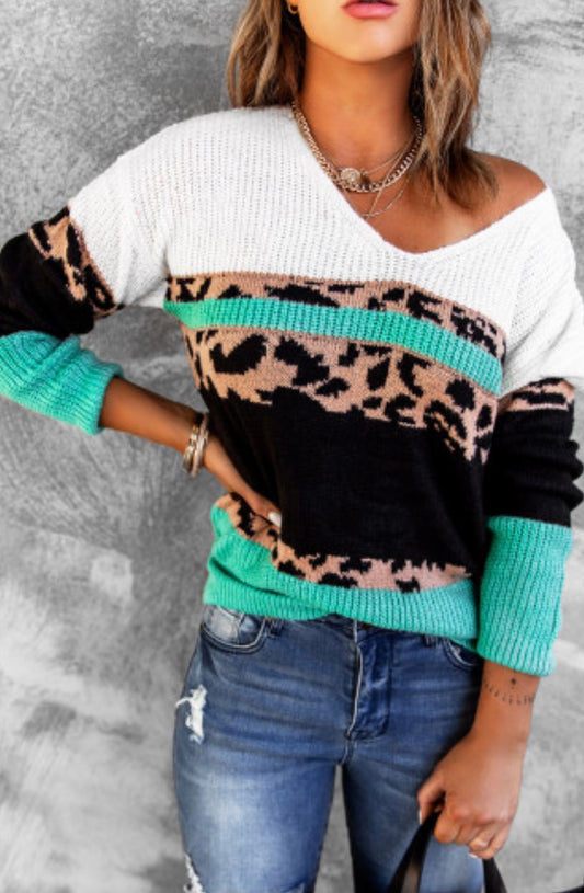 Leopard Print Color Block V Neck Sweater