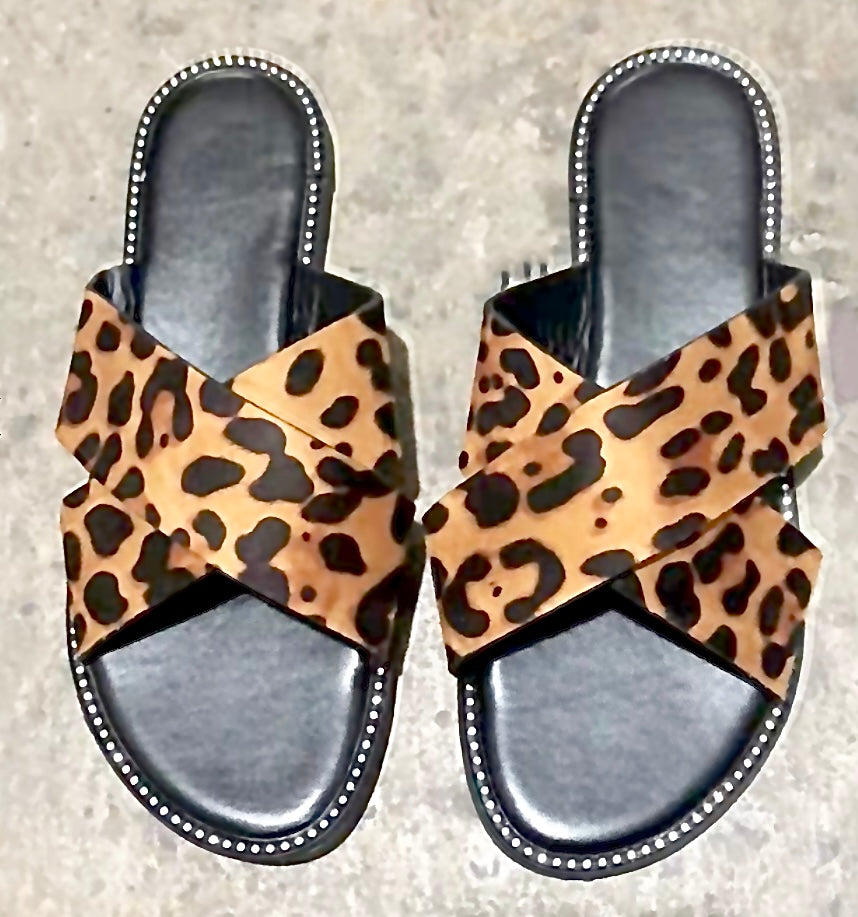 Take a Walk on The Wild Slides