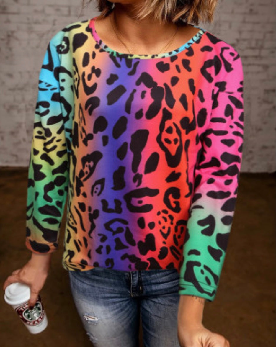 Bright Multi Colored Leopard Blouse