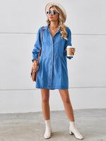 Button Up Flounce Sleeve Mini Denim Dress