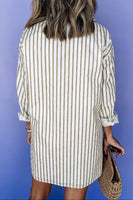 Striped Long Sleeve Mini Shirt Dress